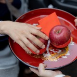 vv-29b3960d4d6e8fbbf0