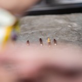 vv-57eb5477f664410665