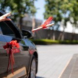 vv-715a8349852bfc58c6